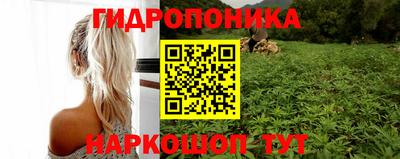 apvp Нарткала