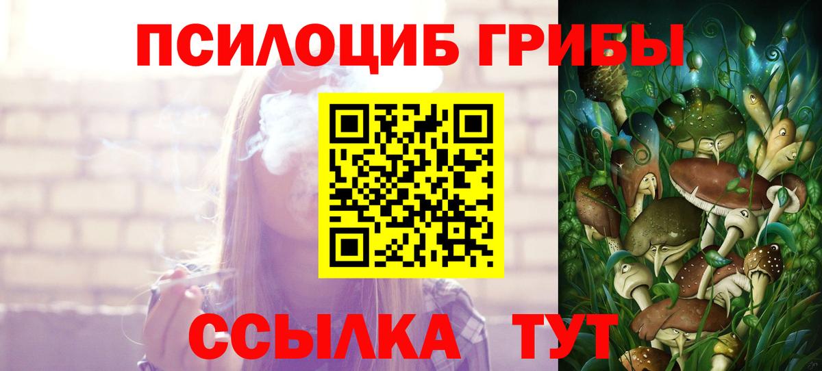 Псилоцибиновые грибы GOLDEN TEACHER Уссурийск